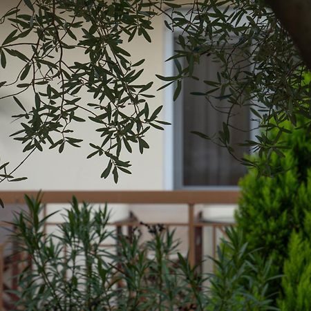 Guesthouse Adonis Loutraki  Ngoại thất bức ảnh