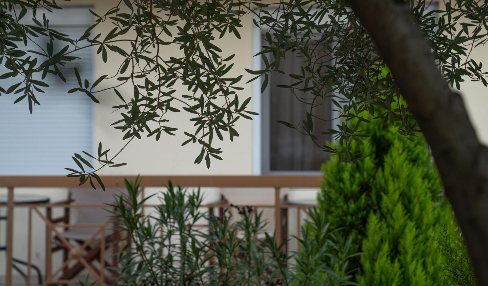 Guesthouse Adonis Loutraki  Ngoại thất bức ảnh